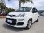 FIAT Panda 1.3 MJT 95 CV S&S Easy