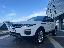 LAND ROVER RR Evoque 2.0 TD4 150 CV 5p. Bs Ed. Pure