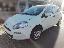 FIAT Punto 1.4 8V 5p. Natural Power Street