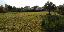 Terreno 5600 mq, zona Altavilla Vicentina