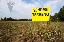 Terreno 660 mq, zona Camin