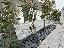 Appartamento 80 mq, 3 camere, zona Piazza Nember