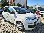 FIAT Panda 1.3 MJT 95 CV S&S Easy