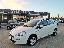 FIAT Punto 1.3 MJT II 75 CV 5p. Street