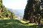 Terreno 12380 mq, zona Tiarno di Sopra