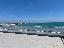 Appartamento in Vendita a Pescara