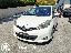 TOYOTA Yaris 1.0 5p. Lounge