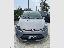 FORD Fiesta 1.2 60 CV 5p. Titanium