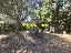 Appartamento 210 mq, soggiorno, 3 camere