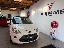 FORD Ka+ 1.2 8V 69 CV